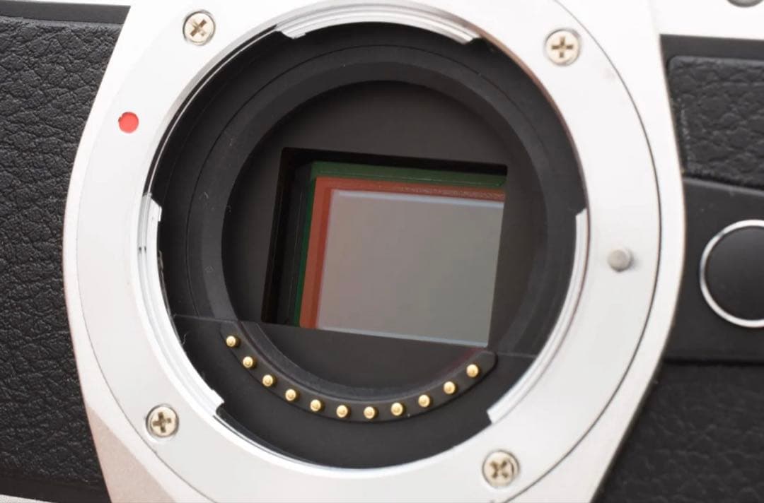 Olympus オリンパス OM-D E-M10 Mark II 2 ボディ