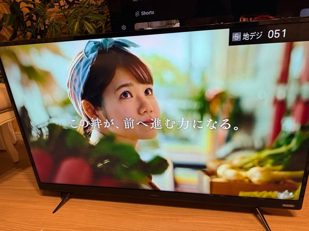 ＊東京都付近限定品＊美品 アイリスオーヤマ　LUCA 43インチ　液晶テレビ