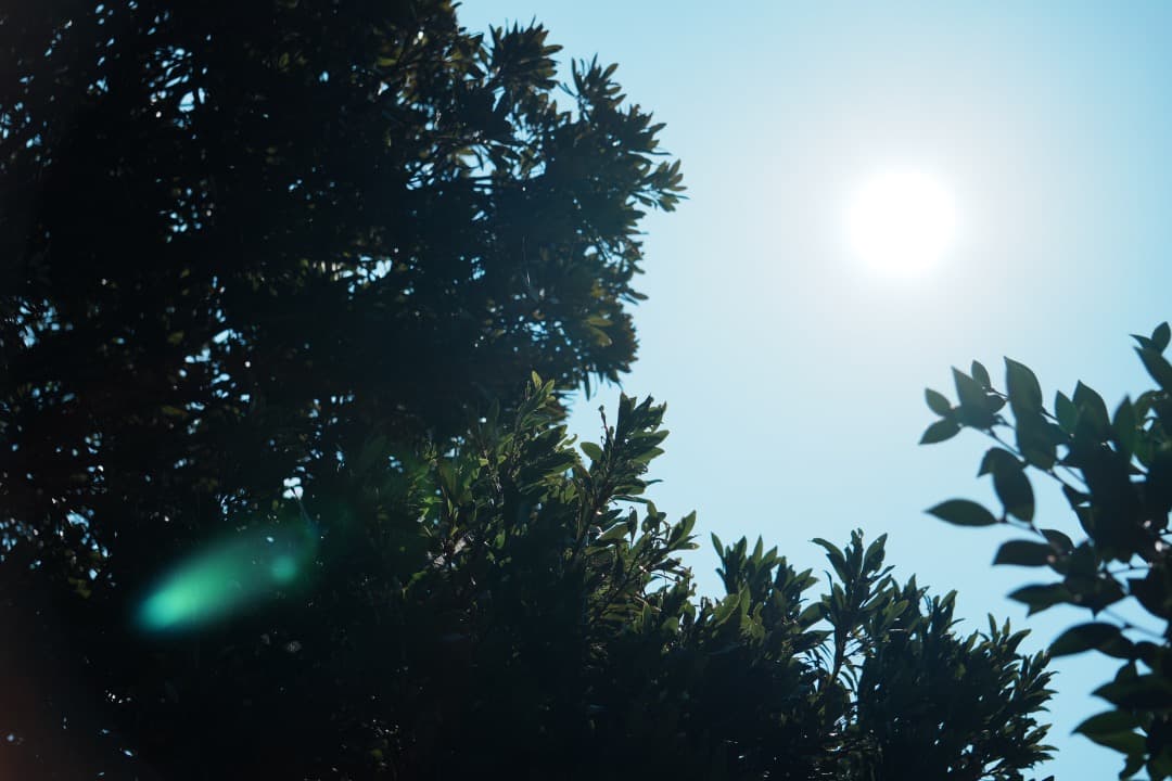 【運動会・スポーツに】SONY 望遠ズームレンズ SEL55210 279