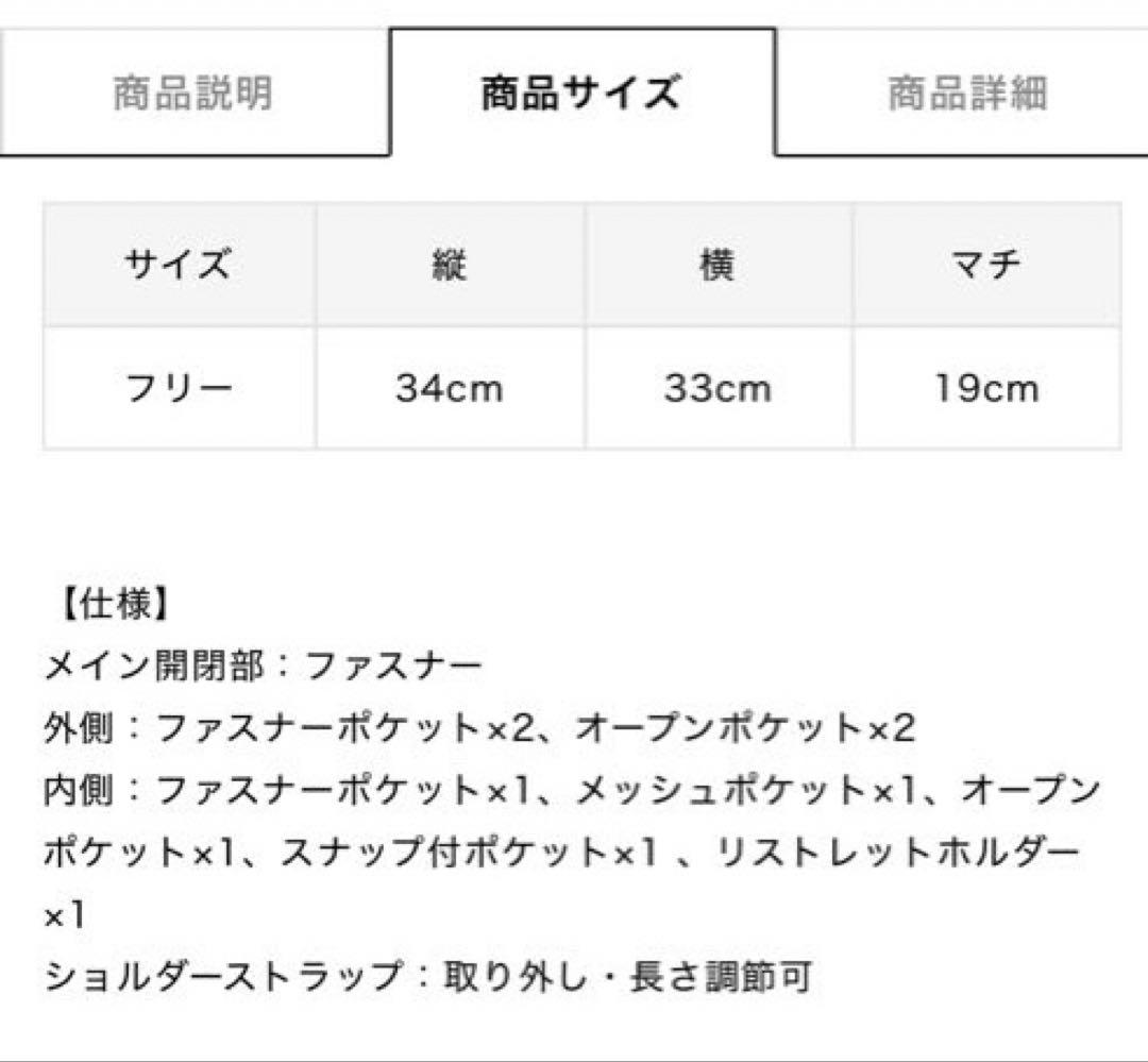 【新品未使用】LeSportsac ONE DAY CABIN ギンガ