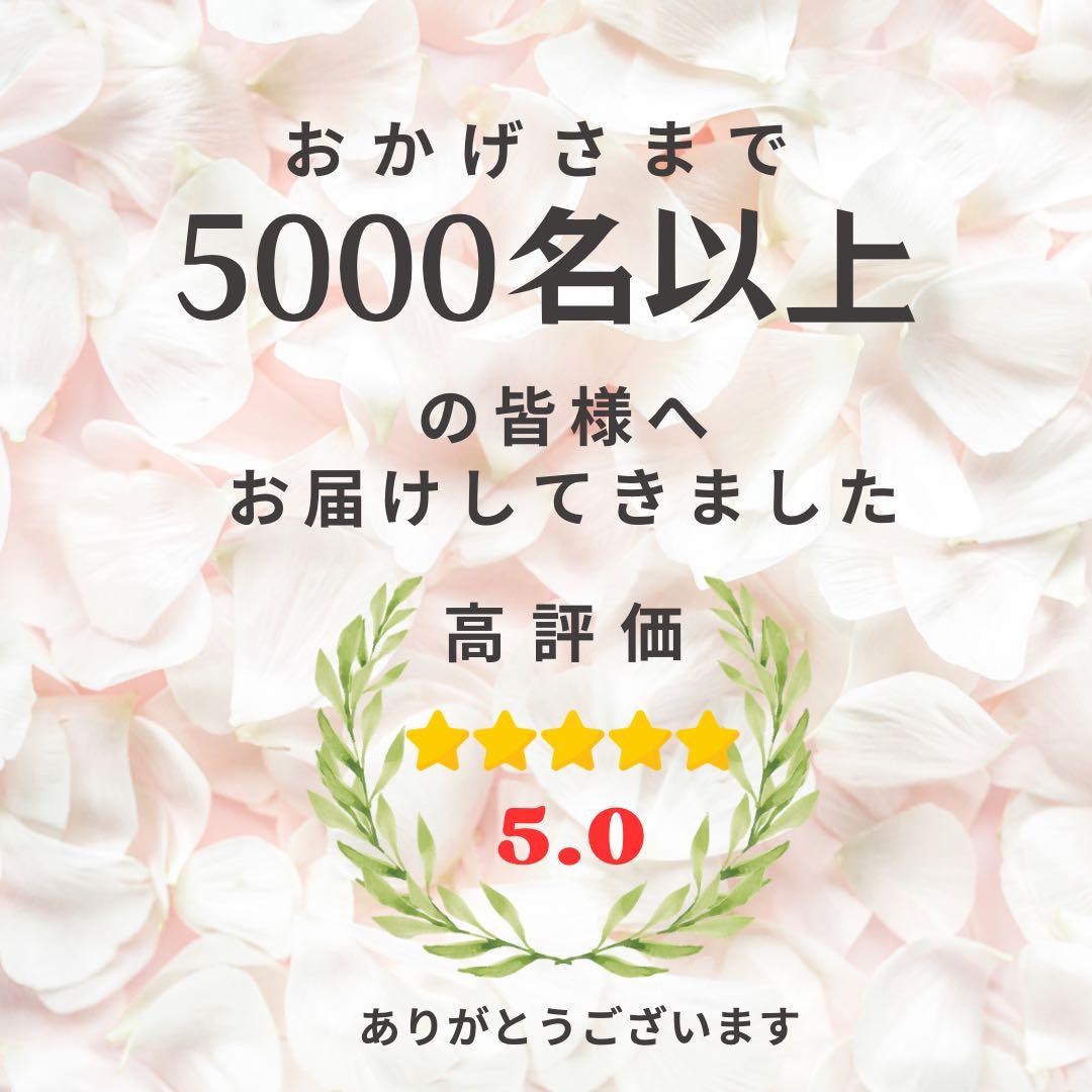 ホワイトローズのラグジュアリークリスマスリース (L)上品な冬の贈り物