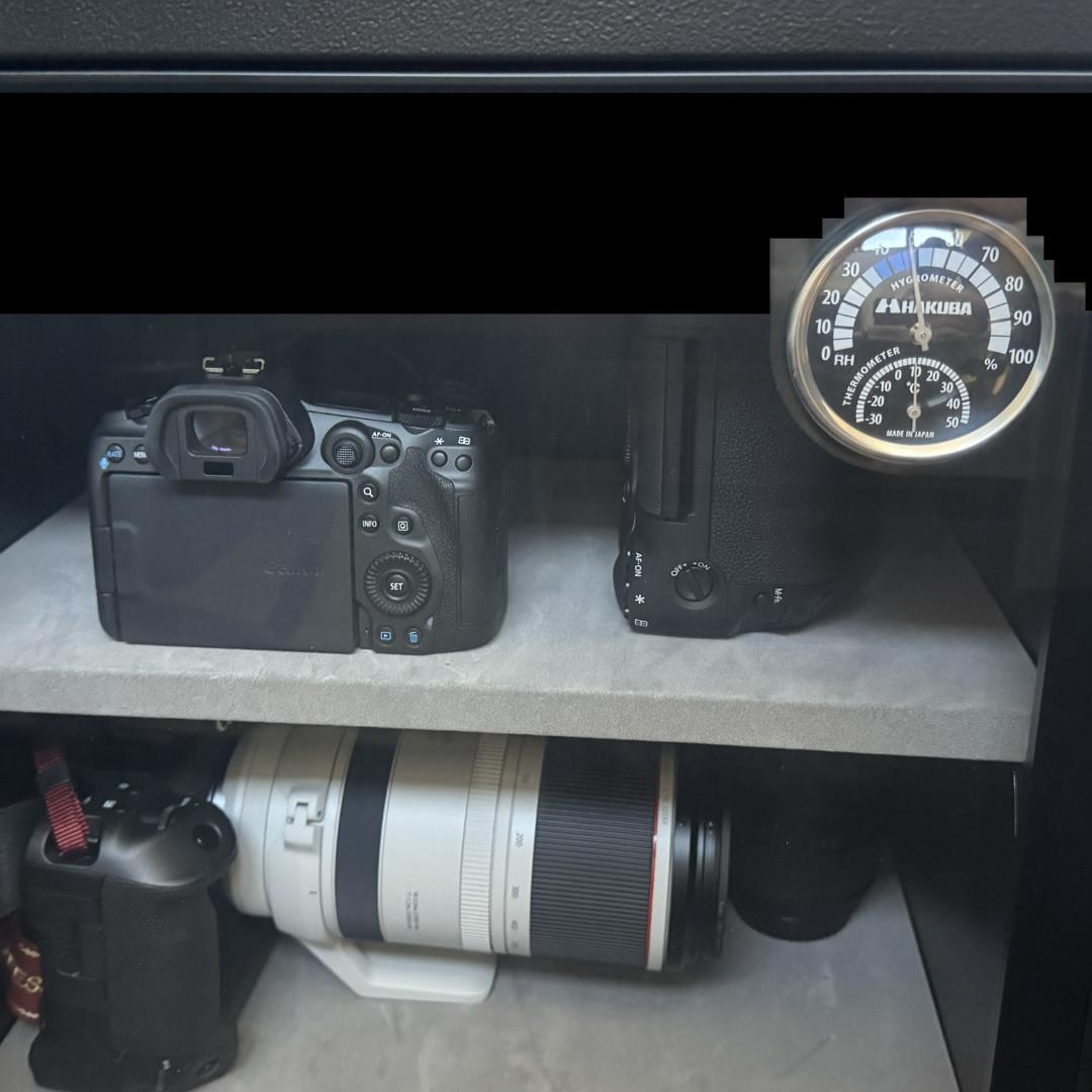 【ショット回数300以下】Canon EOS R5 ボディ キヤノン