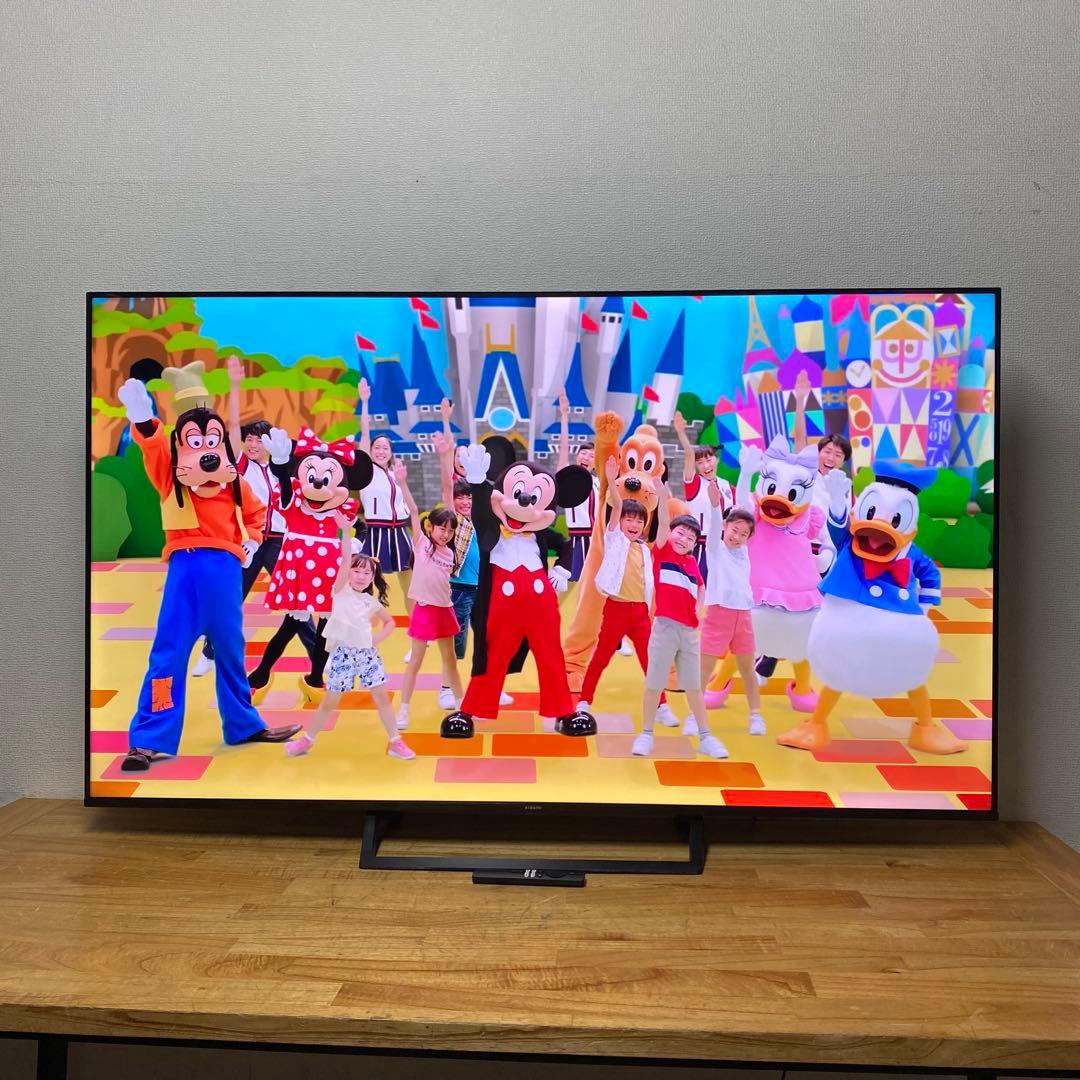 Xiaomi 65V型 4Kチューナーレス 液晶テレビ L65M8-A2TWN