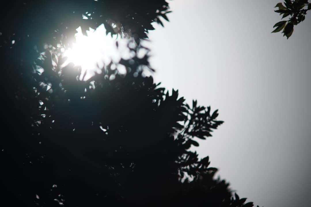 【希少6枚玉】動作◎ SMC Takumar 135mm F2.5 734