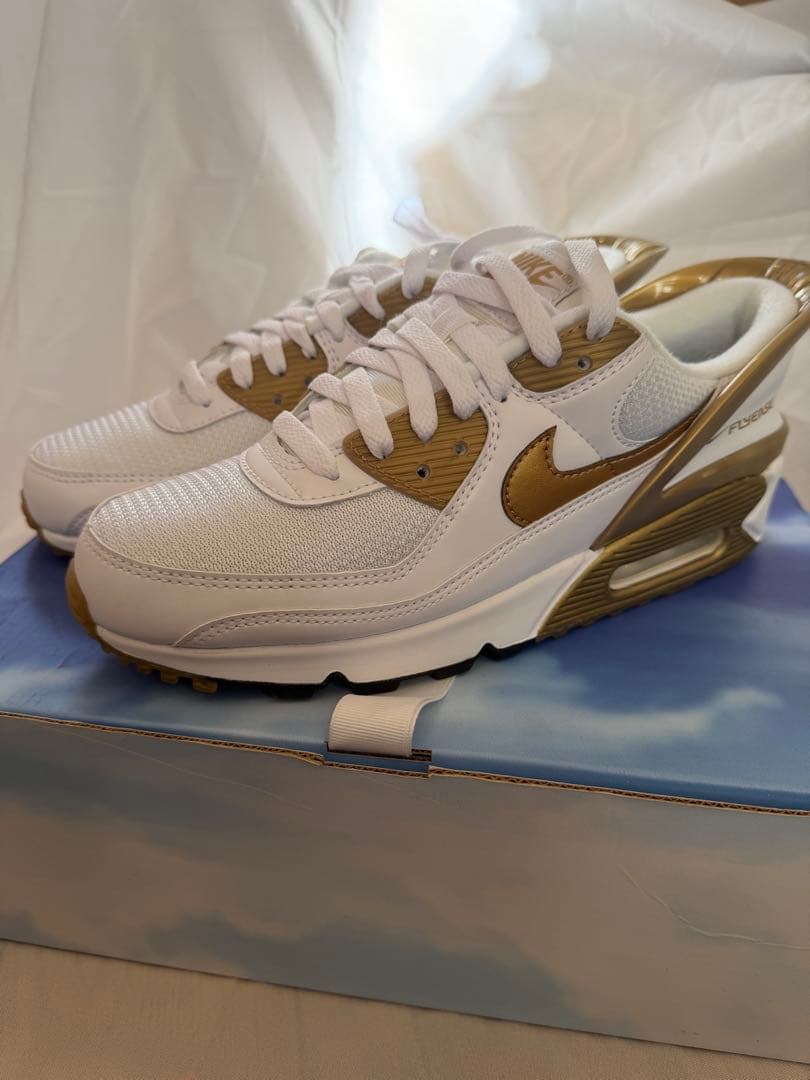 ⭐︎海外限定発売色⭐︎Nike Air Max 90 FLYEASE