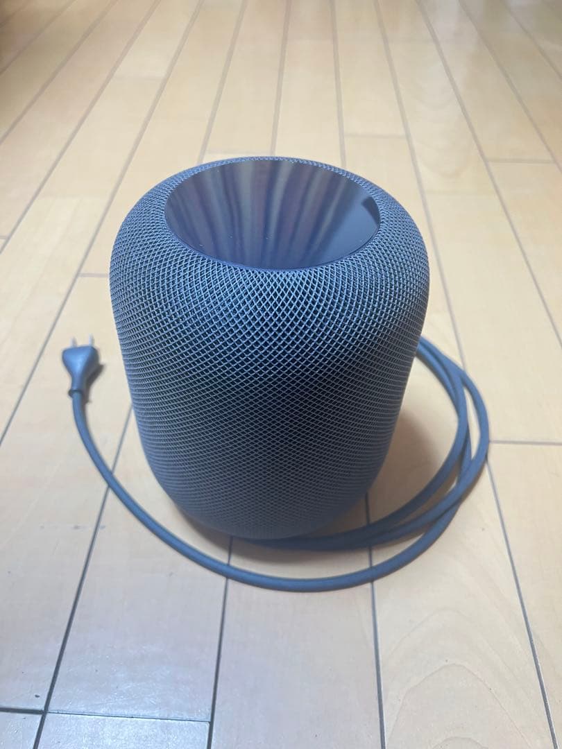 Apple Podスペースグレイ第一世代(ジャンク)