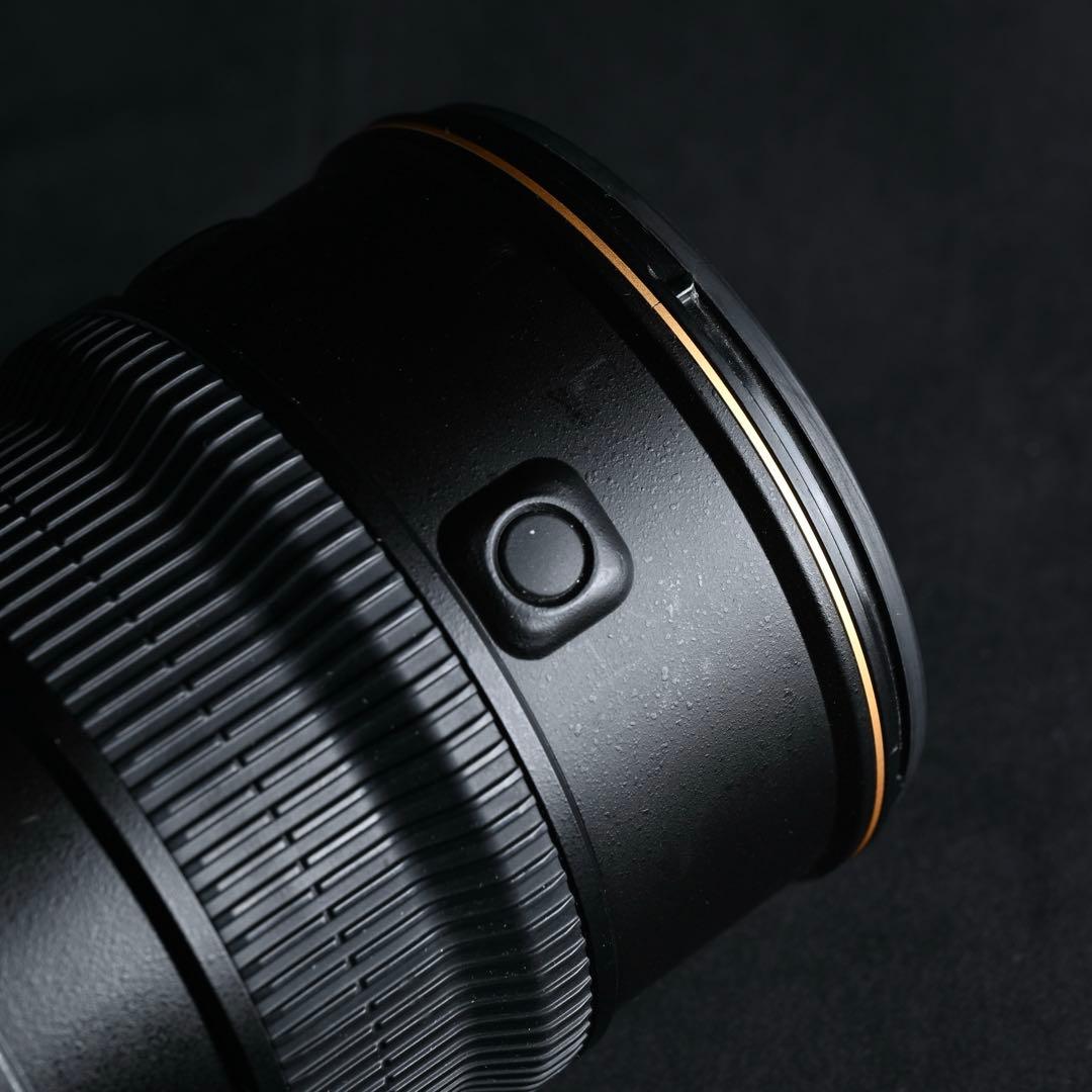 Nikon AF-S VR 70-200mmf2.8G フードNG,モーター更新