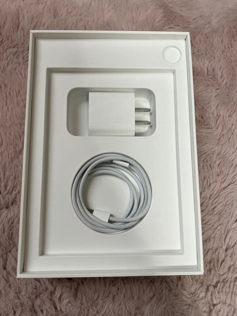 Apple iPad mini スターライト