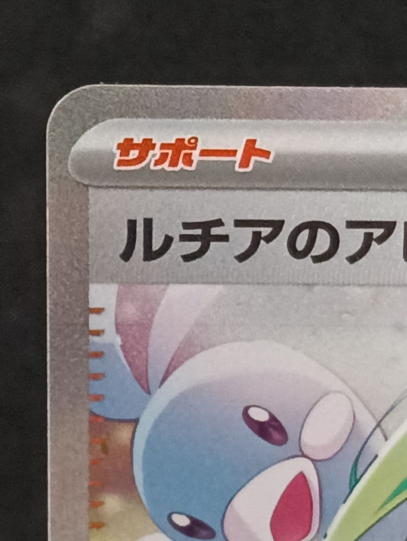 ルチアのアピール サポート トレーナーズ