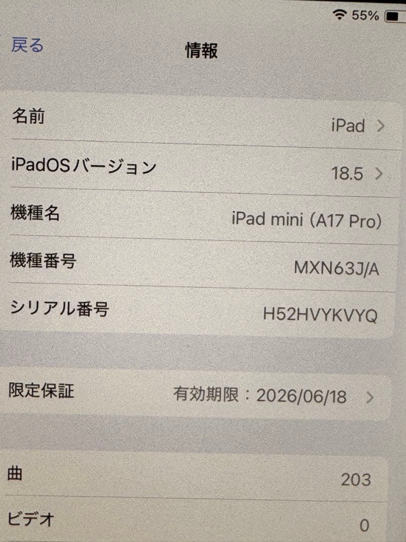 ヒロポン様 iPad mini A17pro(第7世代) WiFi 128GB