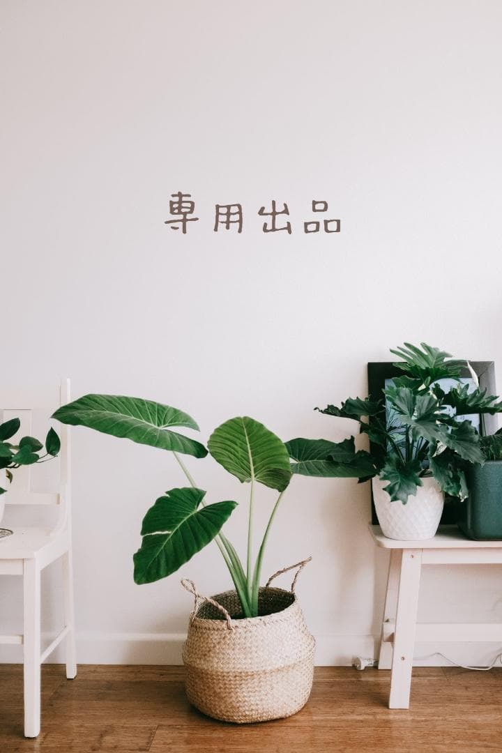 はーさんみーさん