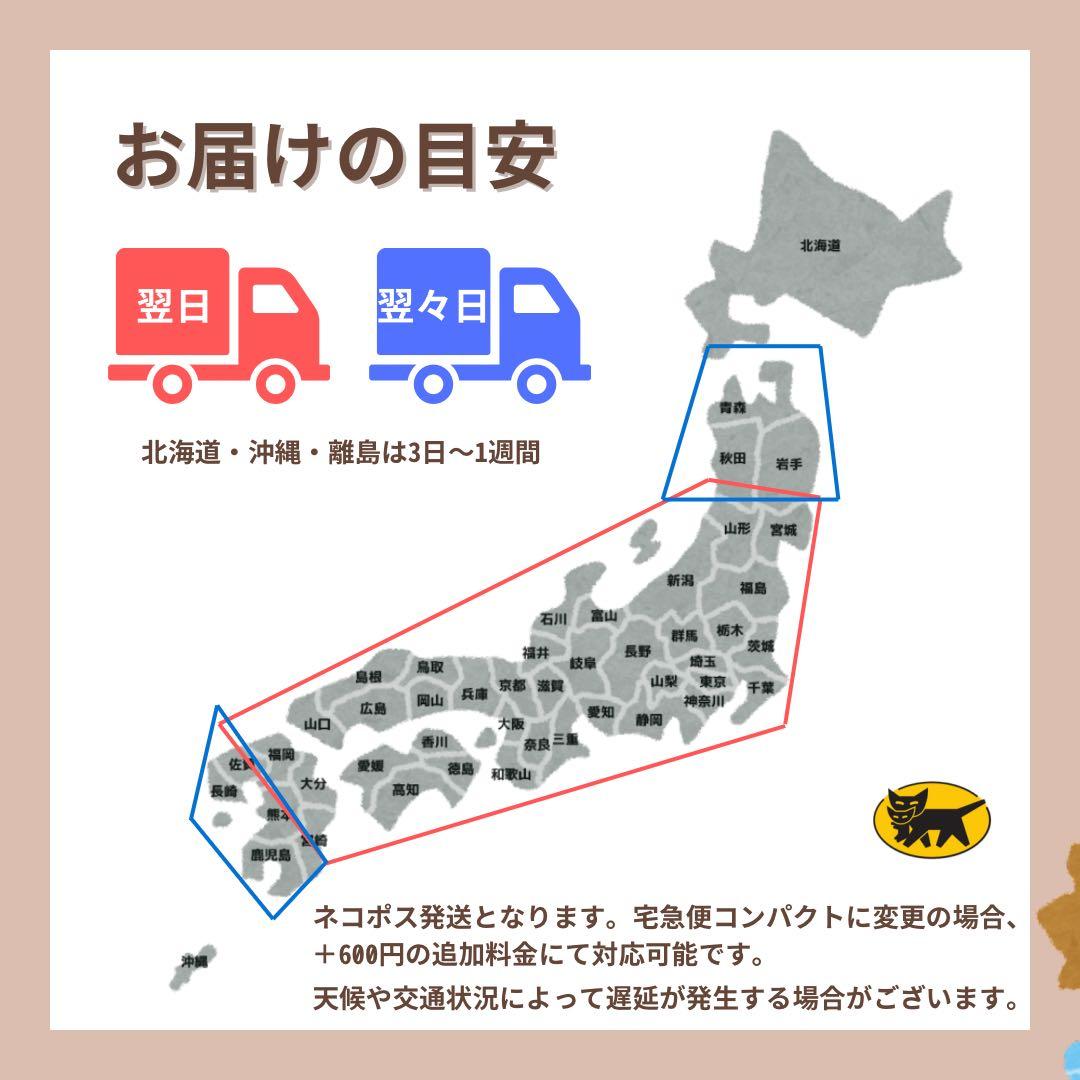 S iPhone SE3 512 GB SIMフリー ホワイト 本体