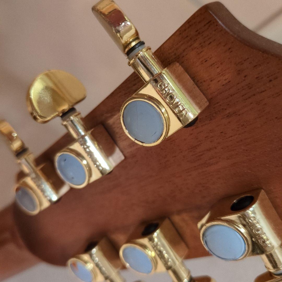 美麗!! 　DCT　GR-747 KCE （エレアコ）純正ギグバック付き