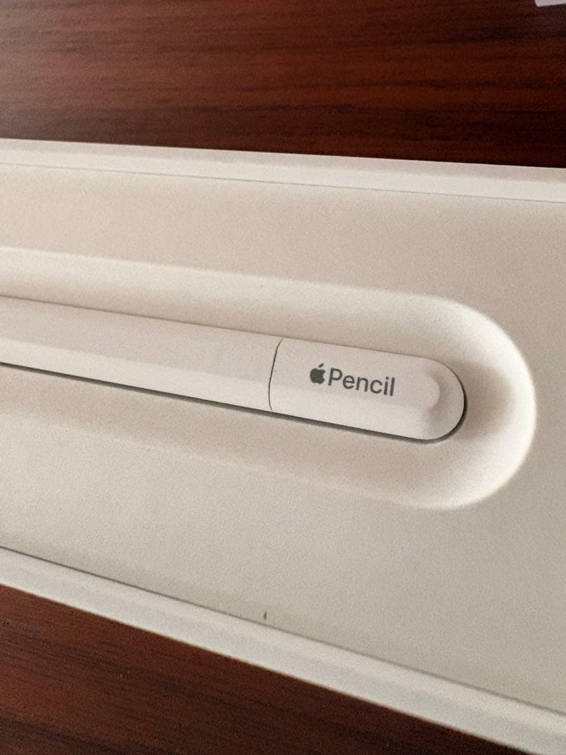 純正 Apple Pencil USB-C 箱有り アップル ペンシル