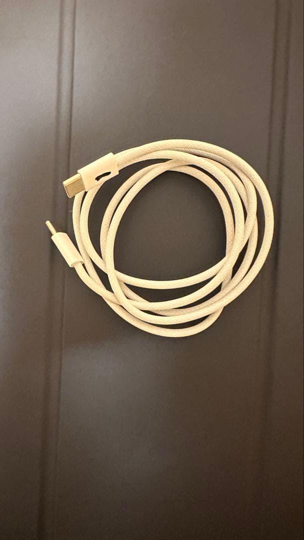 iPad Pro (12.9-inch) (第4世代) 256GB箱付き