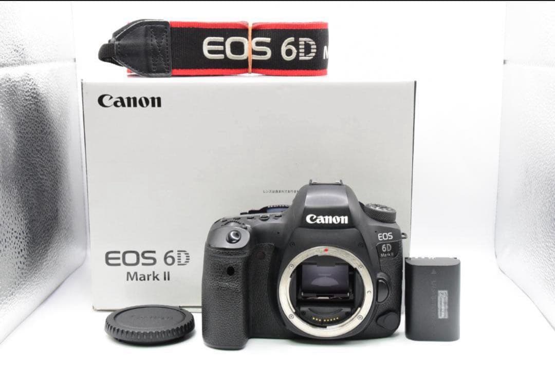 Canon EOS 6D Mark II 本体　充電器、ストロボ付き