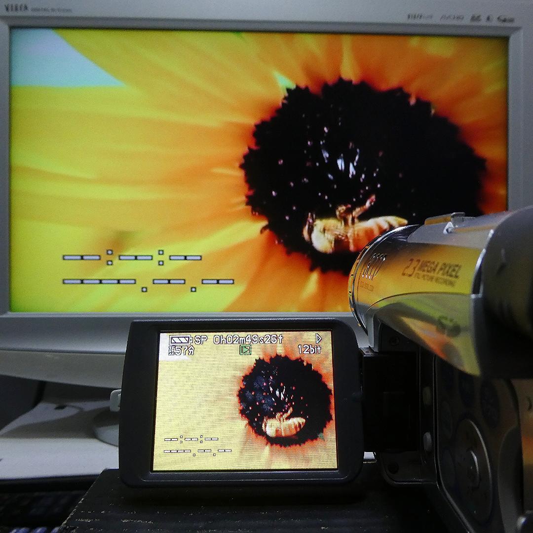 動作良好 パナソニック NV-GS200 MiniDVビデオDVDダビングに最適