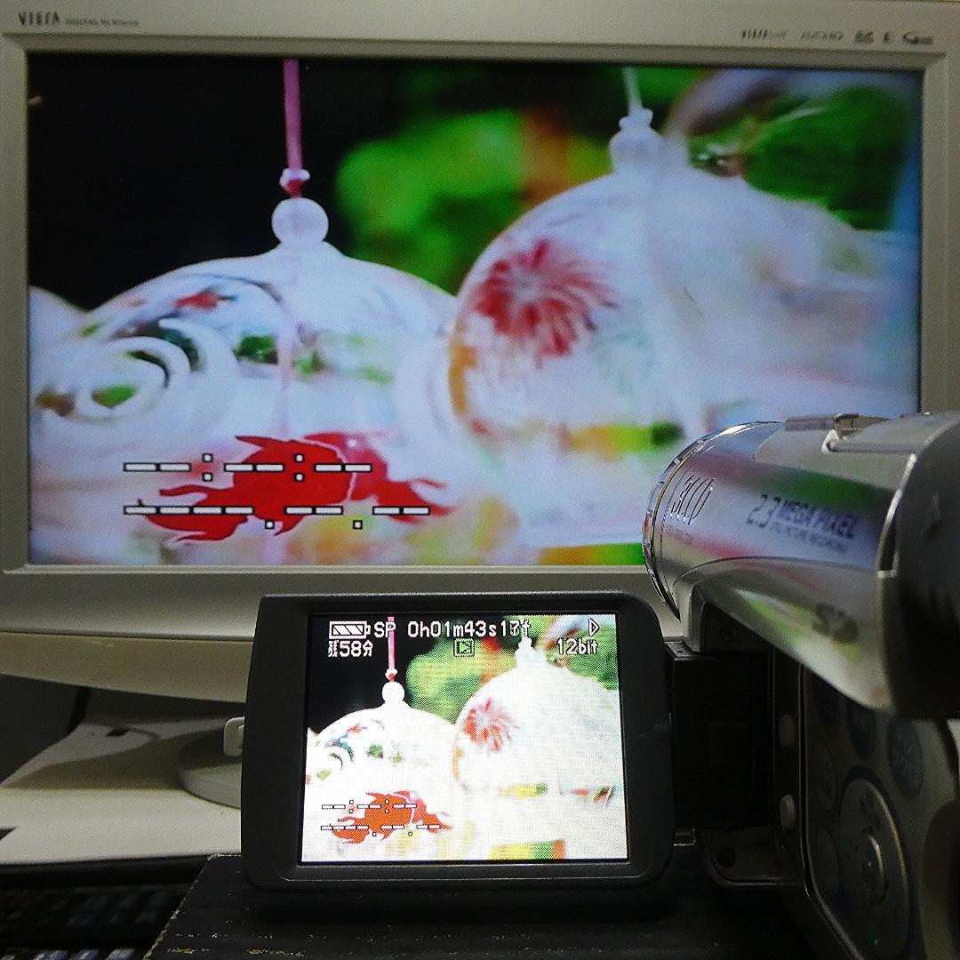 動作良好 パナソニック NV-GS200 MiniDVビデオDVDダビングに最適
