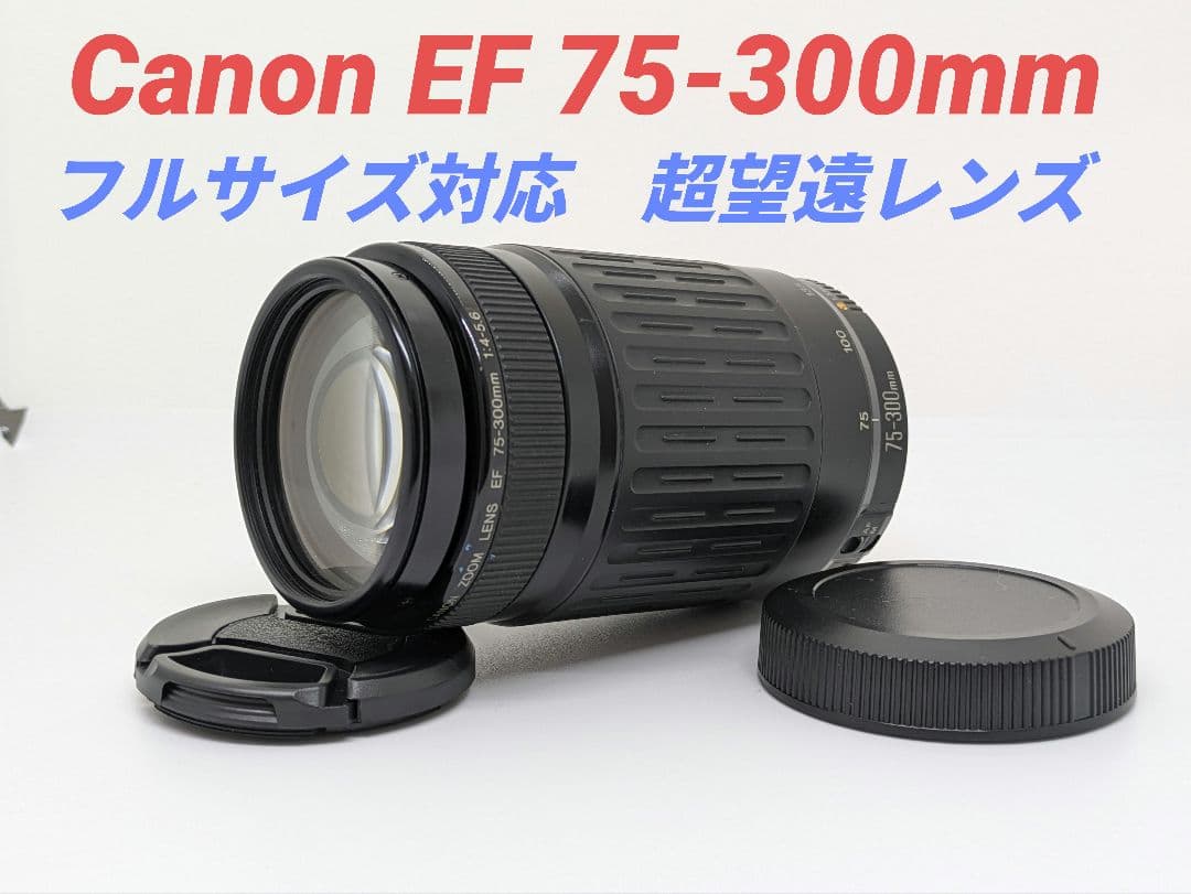 ふぁみれす。♪フォロー割引適応♪Canon EF 75-300mm
