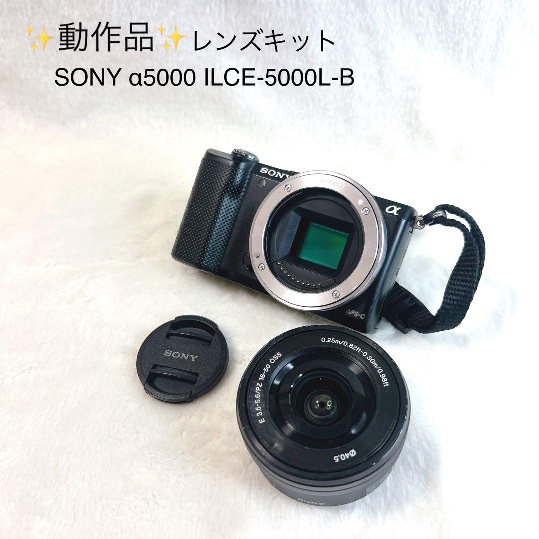 ✨動作品✨ SONY α5000 ILCE-5000L-B レンズキット