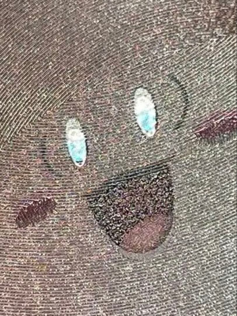 パ*川様 ⭐ニャースex SAR⭐ピッピAR、メガディアンシーex魂抜け？