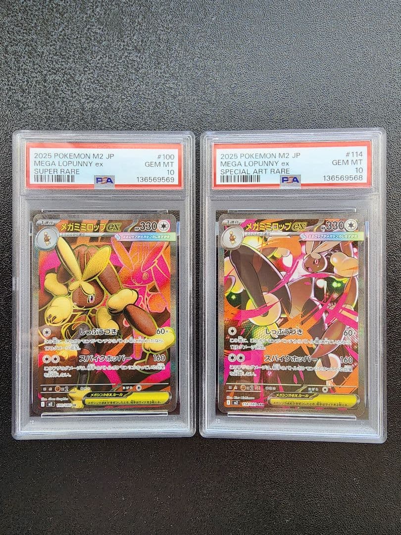 メガミミロップex SR SAR PSA10