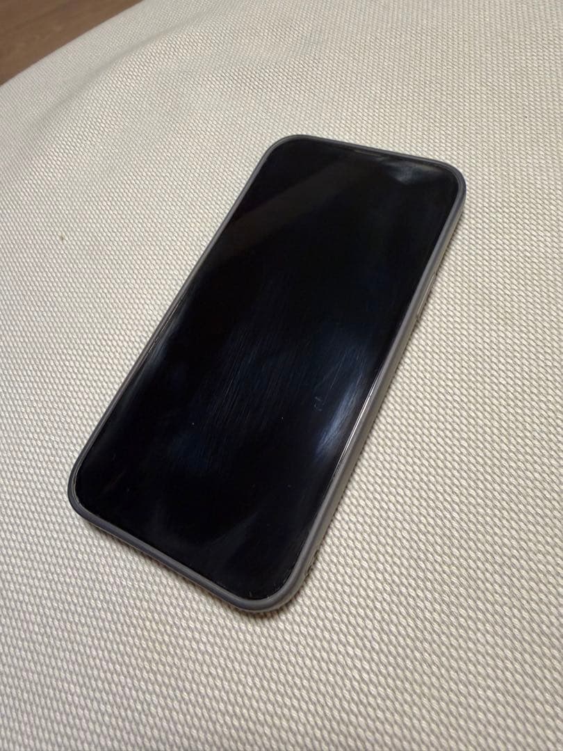 iPhone 13 Pro Max 本体