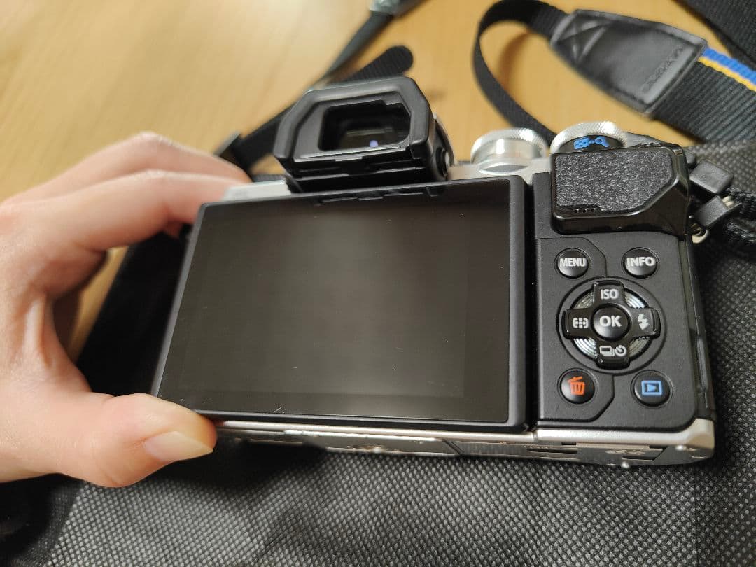 OLYMPUS E-M10 Mark III EZダブルズームキット