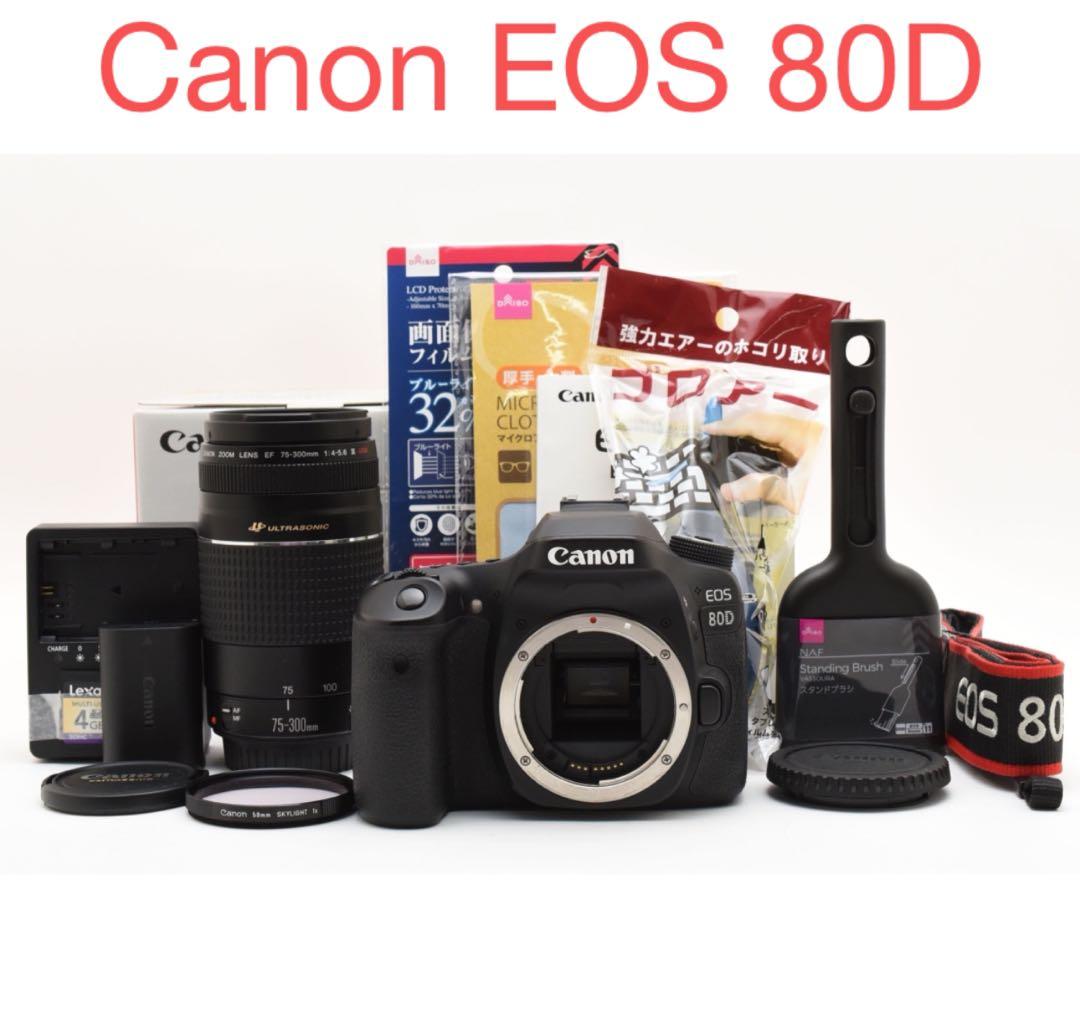 Canon EOS 80D標準レンズセット/Canon 75-300mm