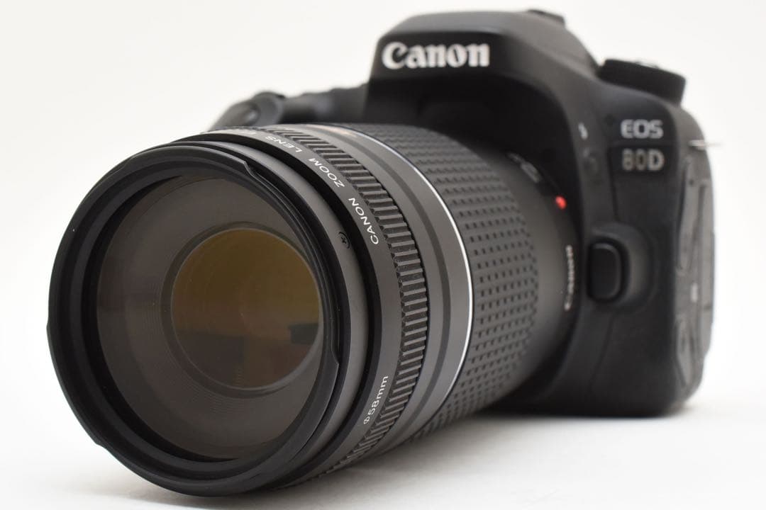 Canon EOS 80D標準レンズセット/Canon 75-300mm