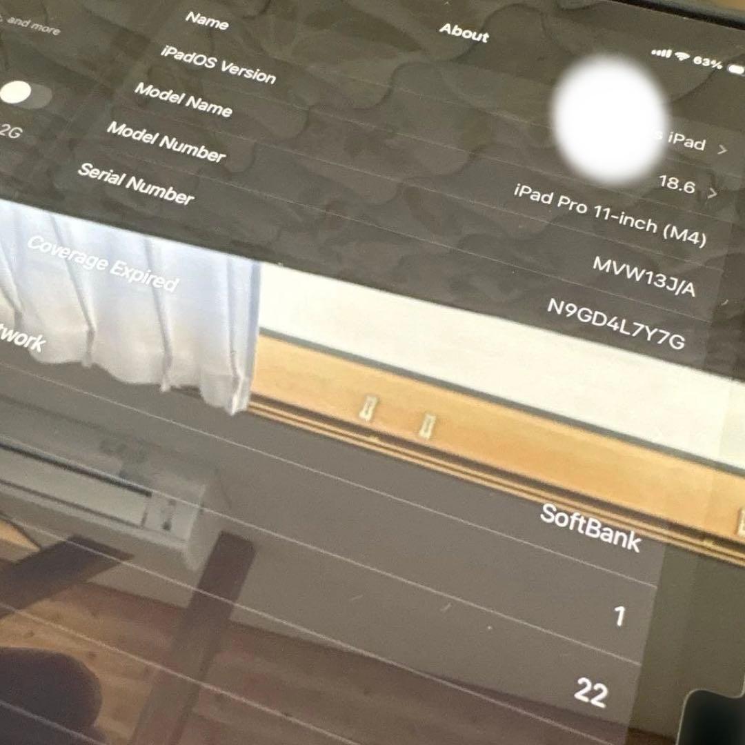 ぜ*ぃ様 iPad Pro 11インチ M4[256GB] セルラー SoftB