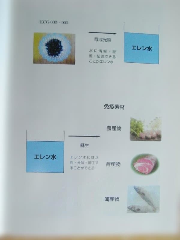 エレン関連の唯一の書籍　21世紀の生命の水・エレン酵生水 現在入手困難