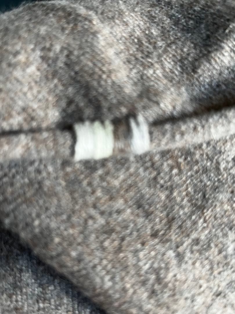 売り切り1/30終了大幅値下げ☆ロンハーマン別注エクストリームカシミア根岸さん着