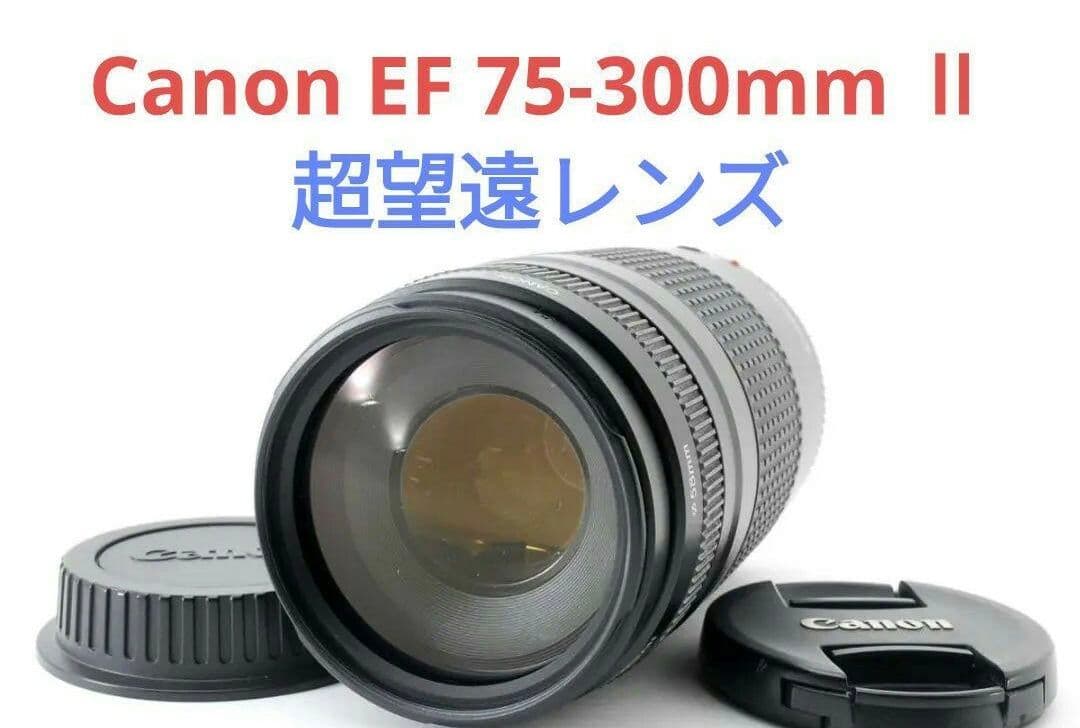 1月27日限定特価♪【超望遠レンズ】Canon EF 75-300mm Ⅱ