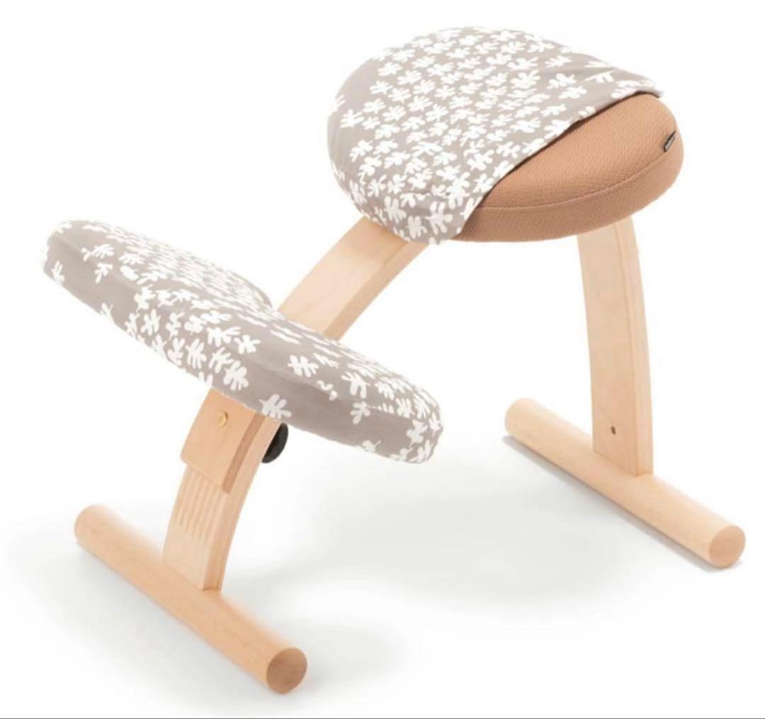 《カバー付き》balansEasy バランスイージー バランスチェア 姿勢矯正