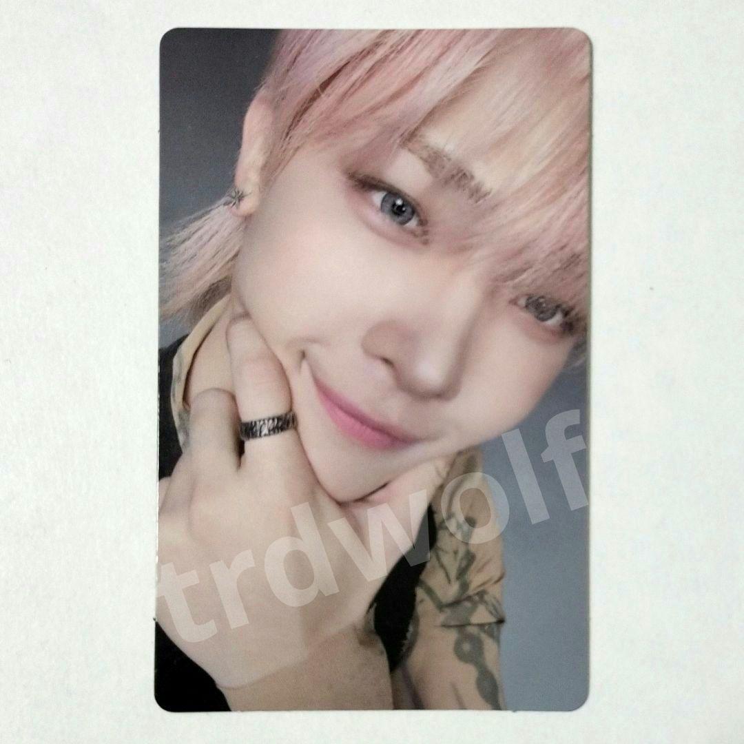 &TEAM ニコラス BTL スチュム STUDIO CHOOM トレカ