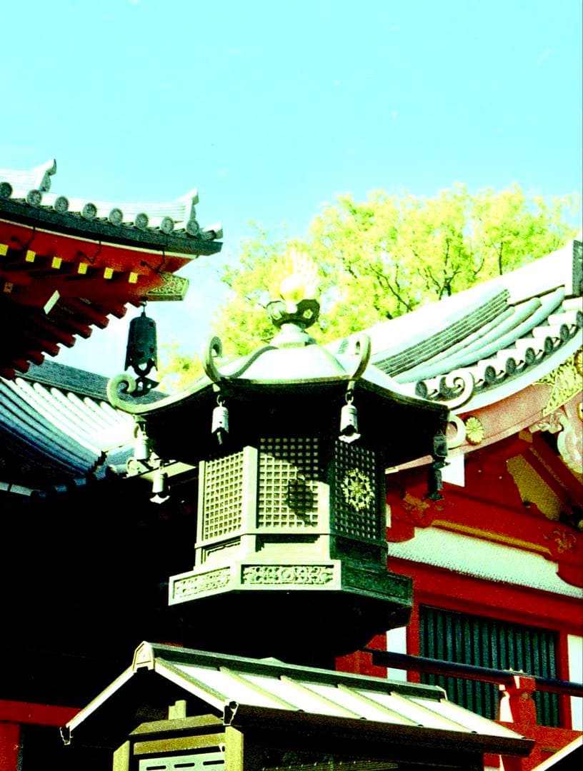 OLYMPUS PEN F 整備済み、完動美品　ボディのみ　NO.108542