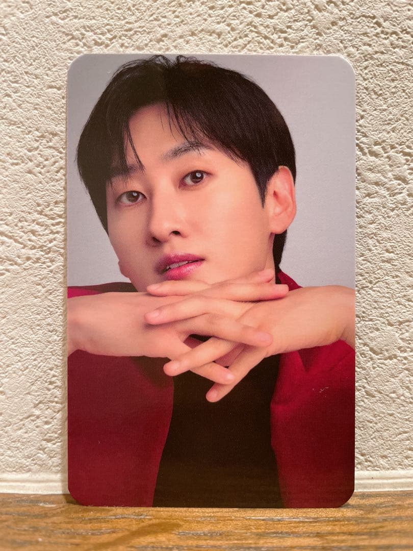 【美品】SJ D&E ビタブリッドコラボ 公式トレカ(ウニョク)