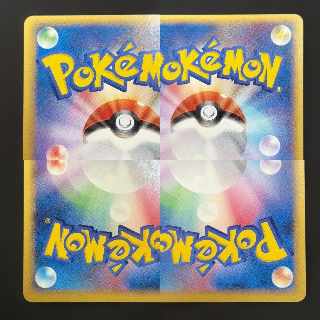 【希少ポケパーク限定】ポケモンカードゲーム フォレストシート プレミアムファイル