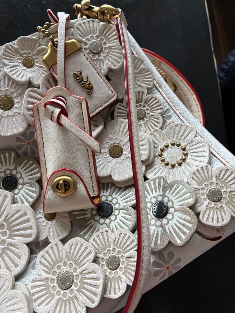 コーチローグ25 ティーローズ