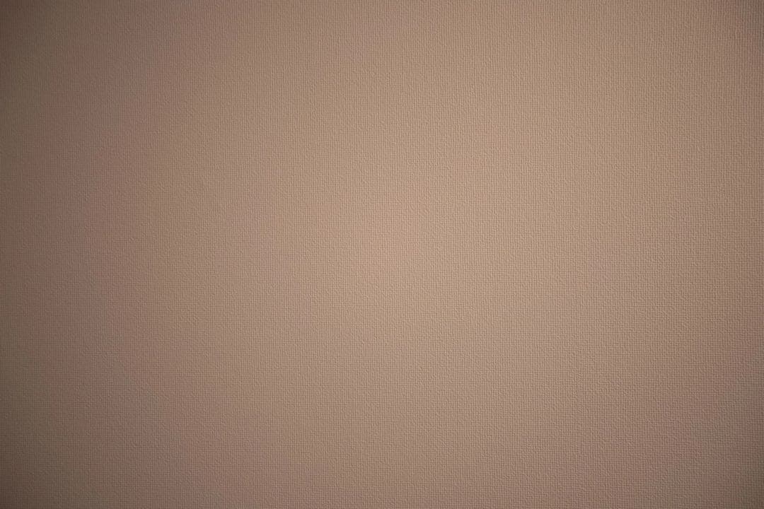 レンズ(ズーム) canon ef 16-35mm f2.8l ii usm