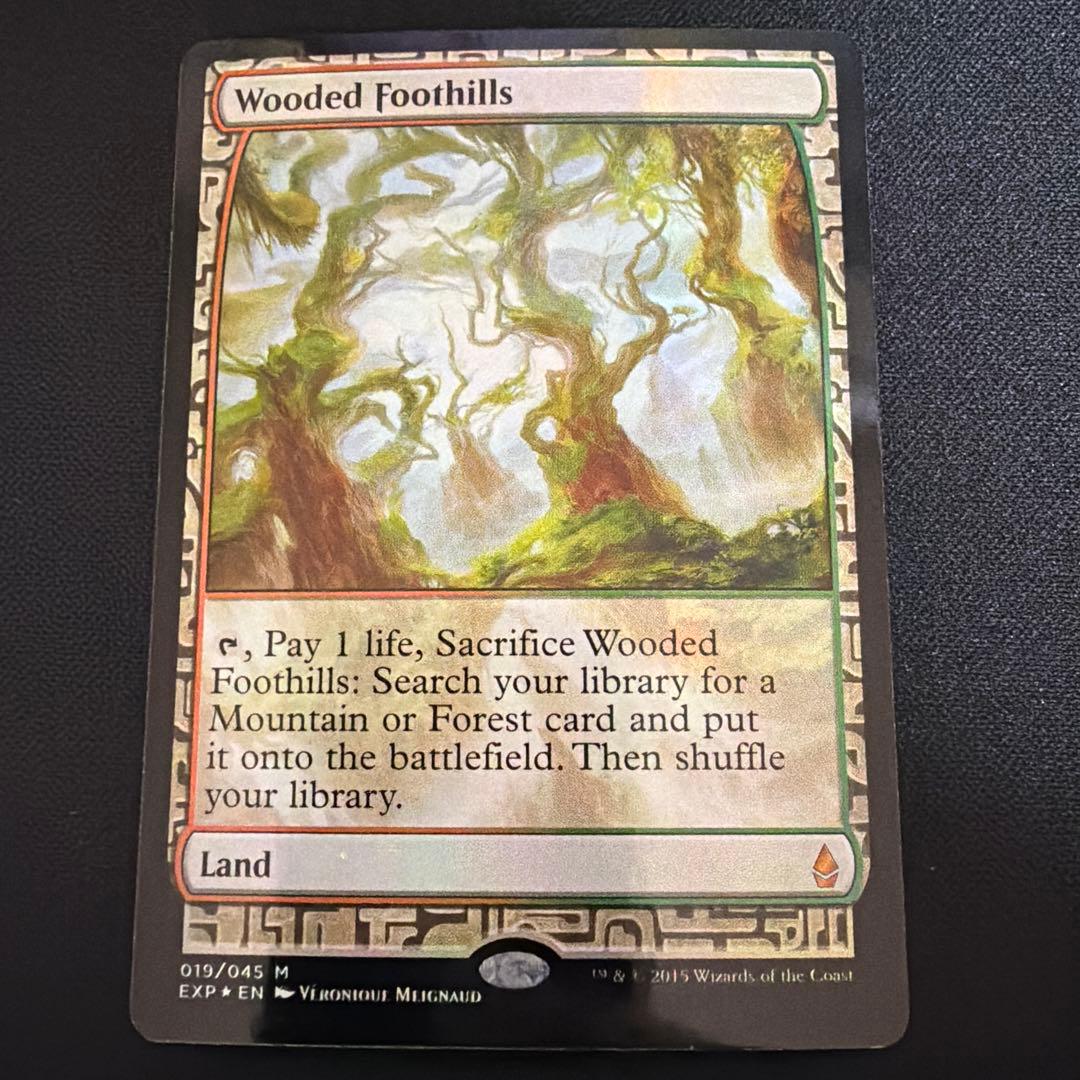 樹木茂る山麓　Wooded Foothills 土地カード　EXP