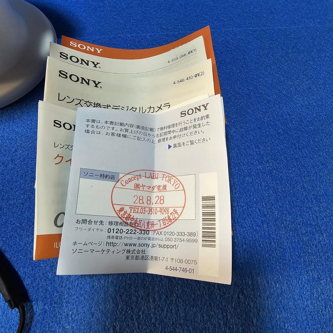 ム*グ様 SONY α ILCE-QX1L パワーズームレンズキット