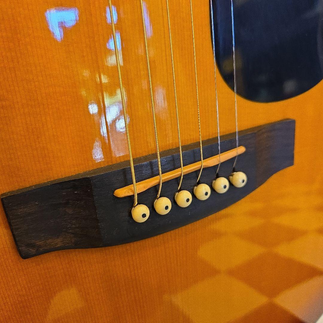 Aria ADW-200 TS アコースティックギター