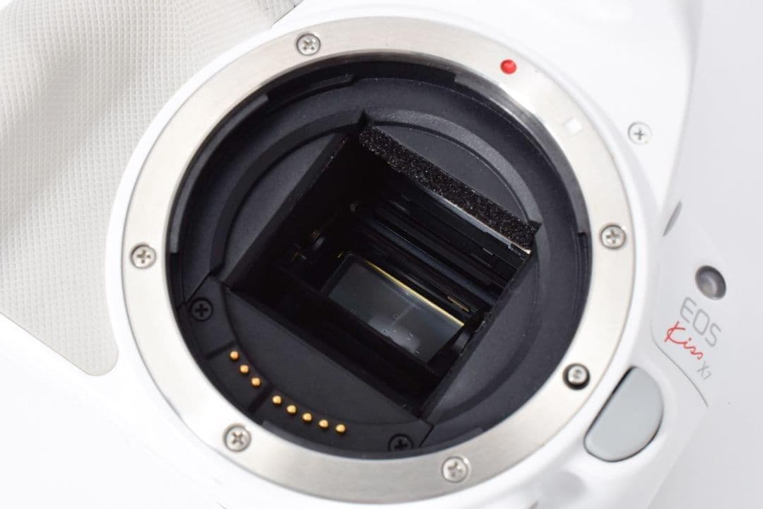 新品級✨️キヤノン EOS KissX7 ホワイト✨️単焦点 ダブルレンズ 軽量
