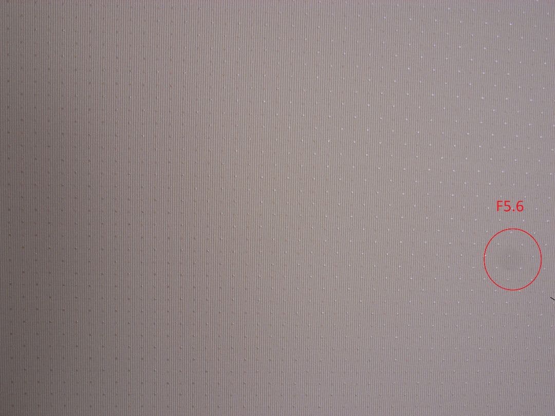 【難あり】RICOH 初代 GR DIGITAL + ワイコンGW-1