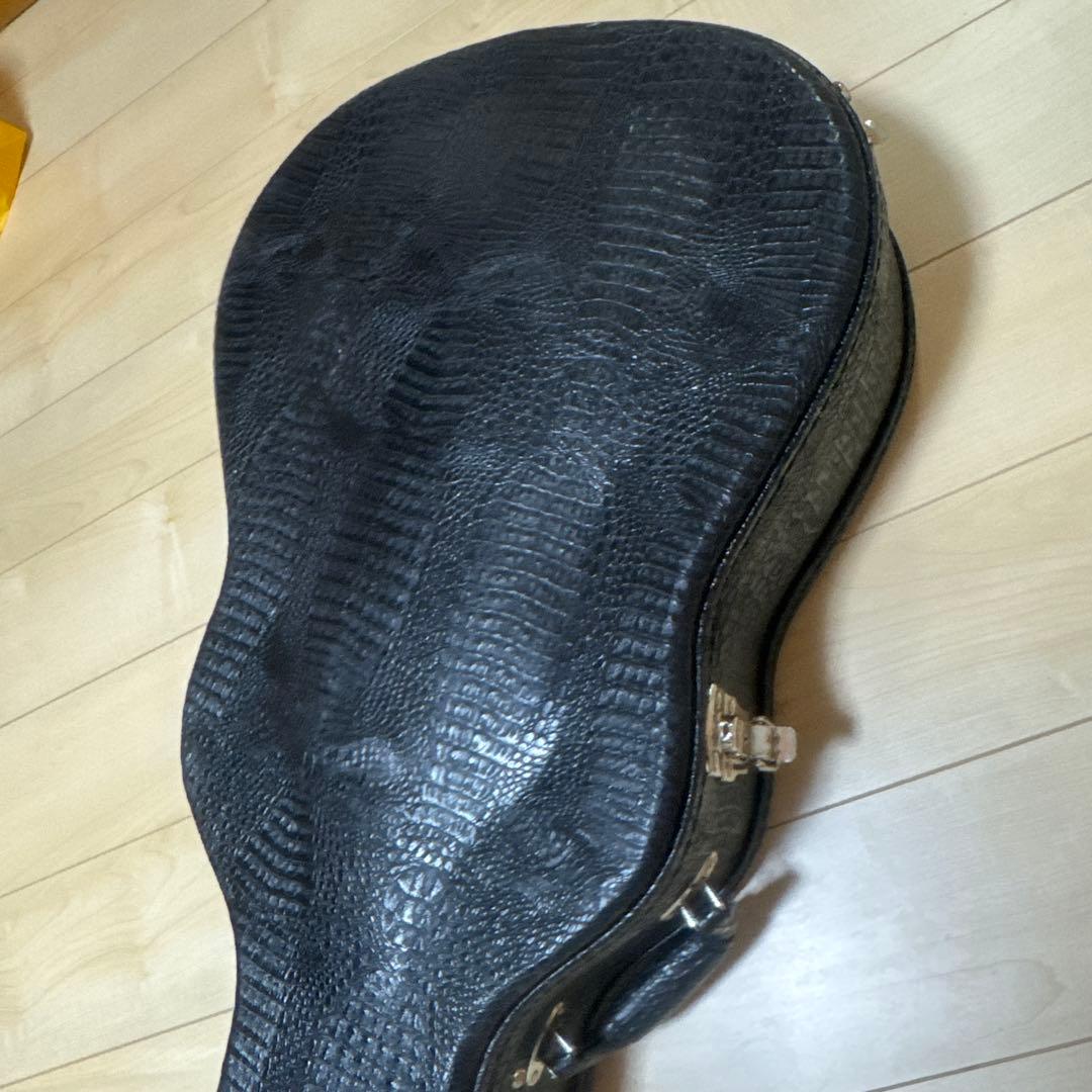 LFG アコースティックギター　ケース　ピック付き