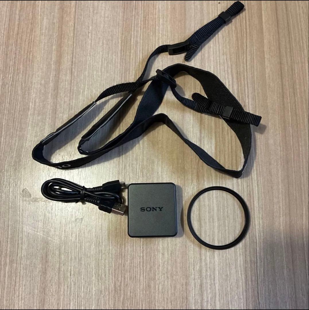 SONY サイバーショット　RX10