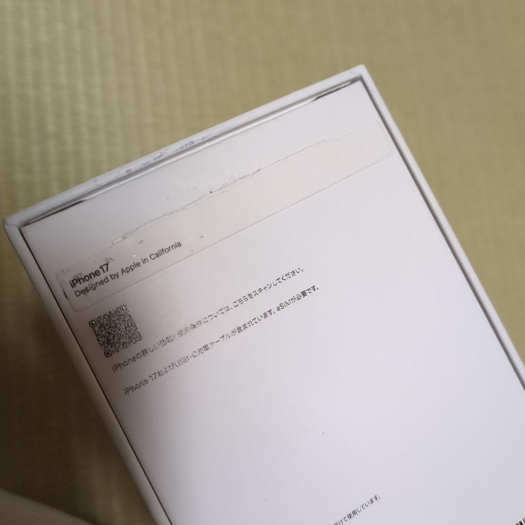 美品 iphone 17 セージ 256GB