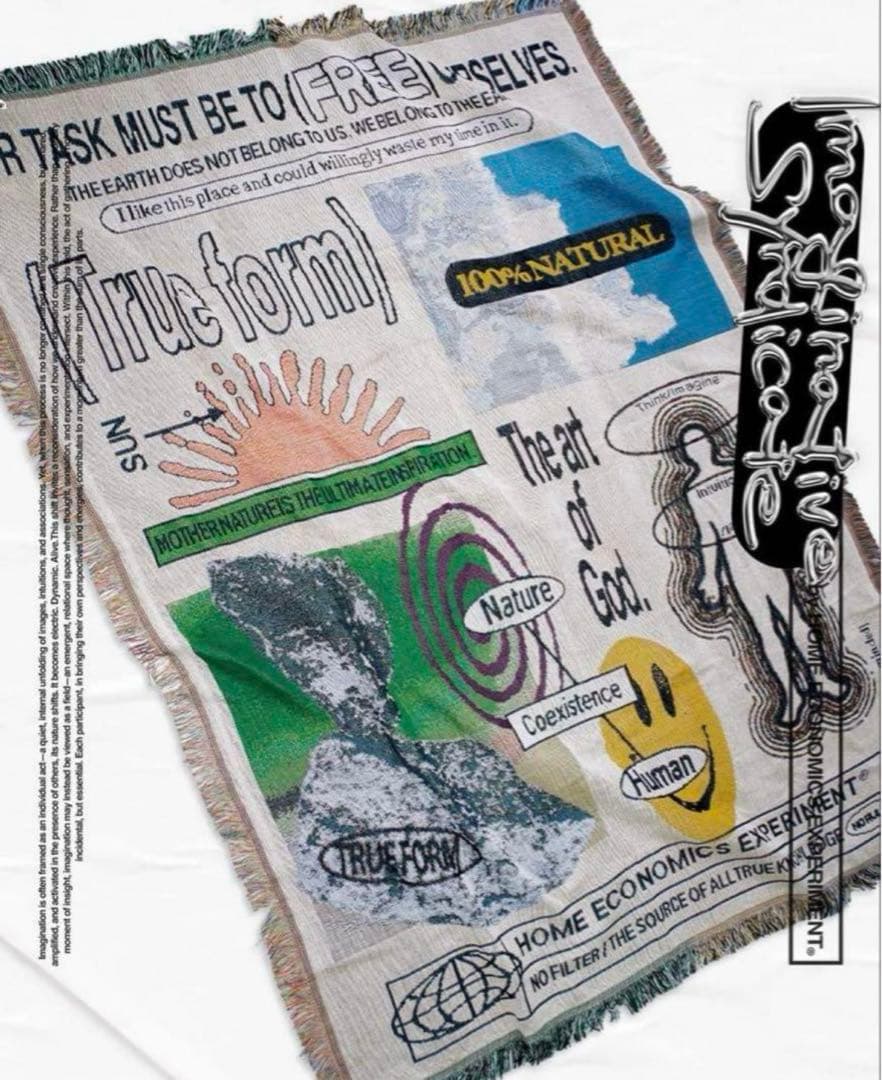 【完売品、美品】 ECONOMICS EXPERIMENT ラグ　マット